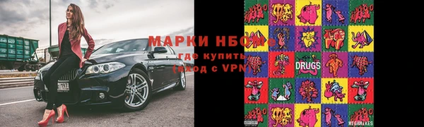 крисы Новодвинск