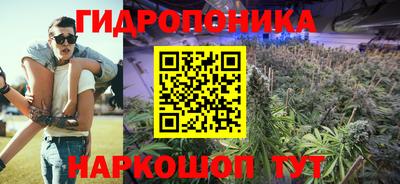 прущие крисы Пугачёв