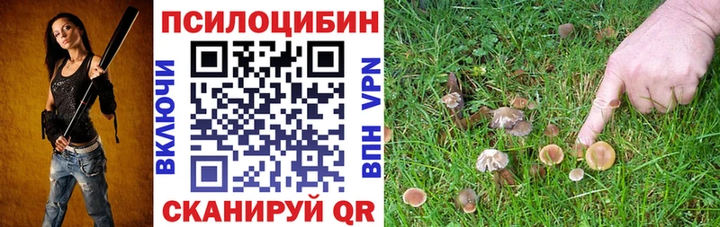 Псилоцибиновые грибы Psilocybe Рославль