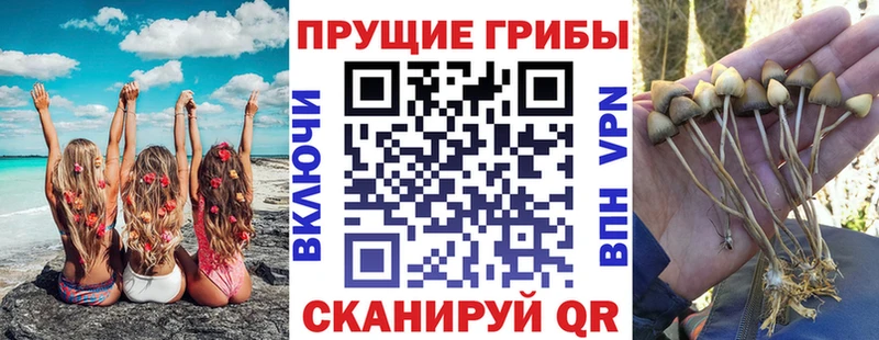 Галлюциногенные грибы мицелий  даркнет сайт  Рославль 