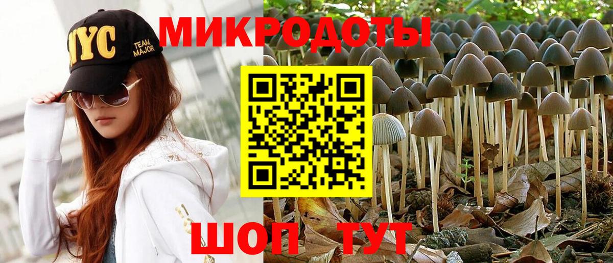 Галлюциногенные грибы Cubensis  Вход с VPN  Рославль 