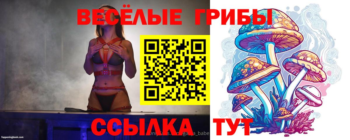 Псилоцибиновые грибы мицелий Рославль